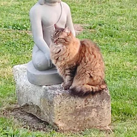 En Kate D'une Pause Saint-Hilaire-de-Talmont