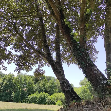 Bed & Breakfast En Kate D'une Pause Saint-Hilaire-de-Talmont